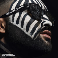 Color Zebra